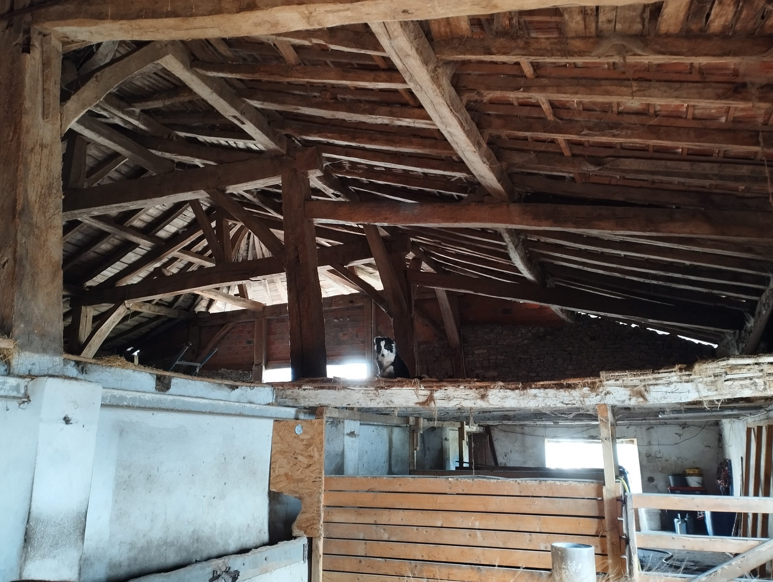 La charpente des écuries